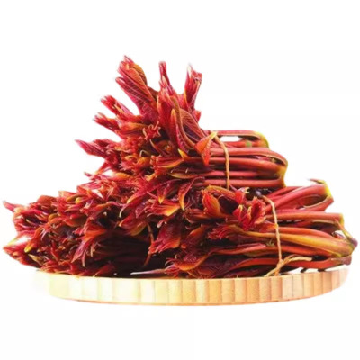 贵州香椿芽高山新鲜蔬菜野菜现摘野生椿芽菜嫩芽红油香椿贵州特产