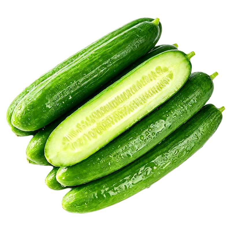 山东脆嫩即食低糖水果小黄瓜生吃