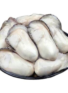 生蚝肉鲜活海蛎子肉去壳蚝仔肉