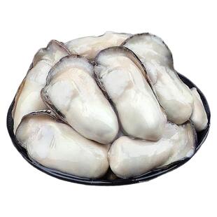 生蚝肉鲜活现剥新鲜牡蛎肉去壳蚝仔肉纯肉蛎蝗肉海鲜水产海蛎子肉