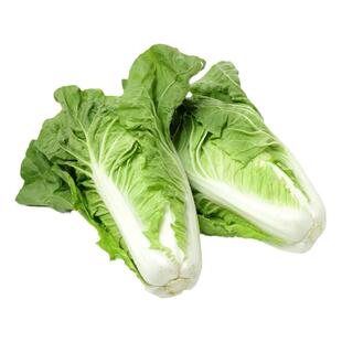 四季奶油快菜种子小白菜种子速生大白菜种籽青菜种籽蔬菜籽种大全