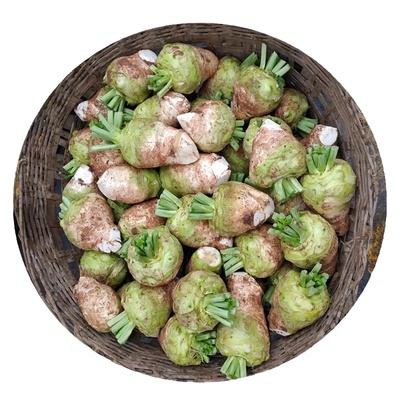 四川大头菜新鲜宜宾本地大头菜