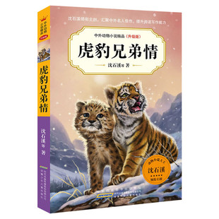 虎豹兄弟情沈石溪动物小说系列全集复仇的雪狼羊王称霸草原鼠王强盗公鸡海中鲸王恐龙家族鳄鱼王后小学生三年级四年级五年级课外书