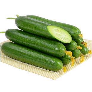 水果小黄瓜包邮5新鲜生吃黄瓜东北旱白玉黄瓜青瓜无刺3蔬菜