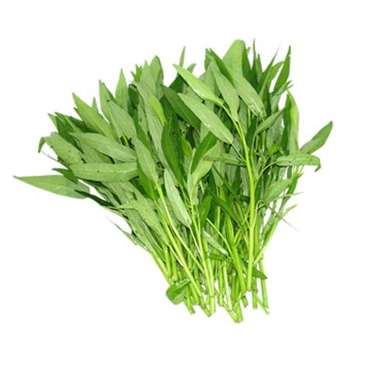 农家菜园老品种空心菜时令蔬菜嫩