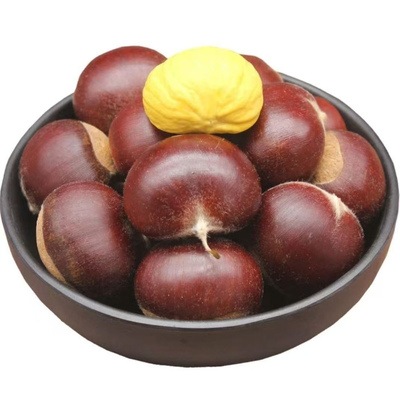 辽宁丹东现摘发板栗生新鲜鲜栗子应季生板栗毛栗子5斤包邮