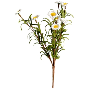 掬涵小雏菊仿真花洋甘菊假花餐桌花摆件干花客厅花束复古轻奢装饰