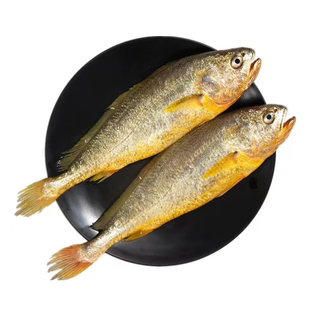 海南深海小黄鱼野生黄花鱼鲜活海鱼冷冻空运水产海鲜5斤礼盒装