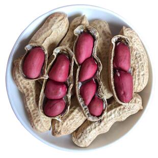 原味炒花生新鲜花生农家铁锅炒生花生带壳熟湿花生米现挖花生5斤