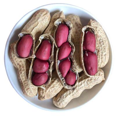 23年新鲜花生花生新鲜带壳5斤