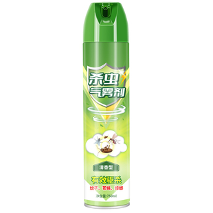 杀虫剂气雾剂家用室内非无毒蟑螂药灭蚊子苍蝇蚂蚁跳蚤喷雾剂驱虫