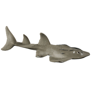 林畅模玩儿童海洋生物玩具圆犁头鳐模型鲎头鳐波口魟仿真鳐鱼动物