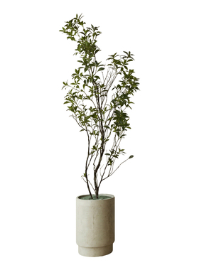 仿真绿植轻奢高端马醉木盆栽