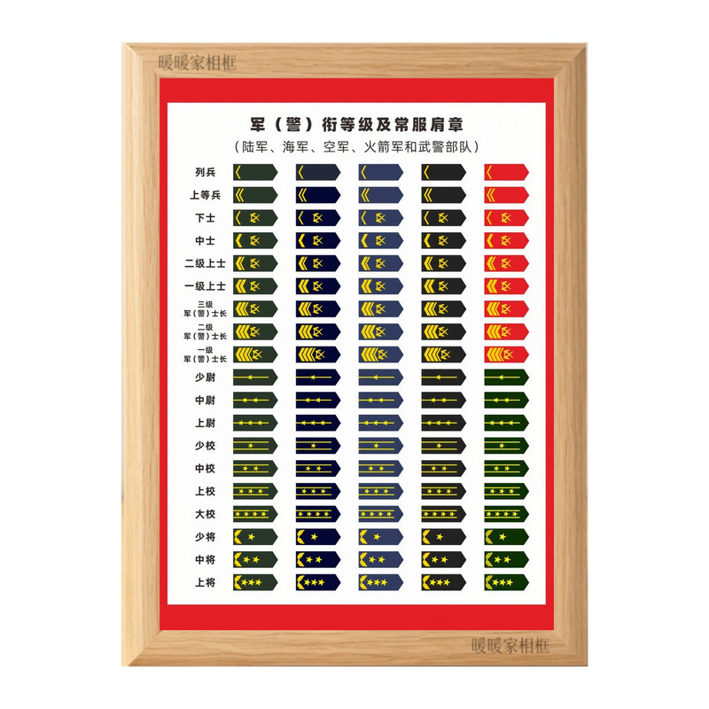 陆海空军衔等级肩章图鉴相框摆台军种等级军事迷收藏装饰桌面摆件