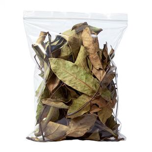 养龟免煮龙眼叶干腐皮烂甲调节水质乌龟躲避鱼缸龟缸生态植物造景