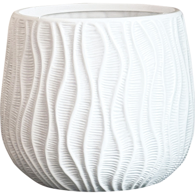 龟背竹天堂鸟发财树等植物专用盆