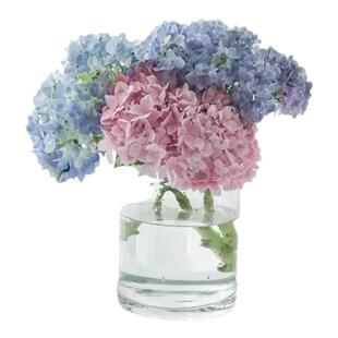 绣球鲜切花高品质素雅花束家庭DIY插花多色婚礼用花北京同城速递