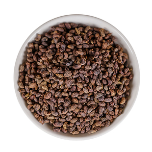 中药材精选野生女贞子正品酒制贞子茶女真子粉冬青籽旱莲草菟丝子