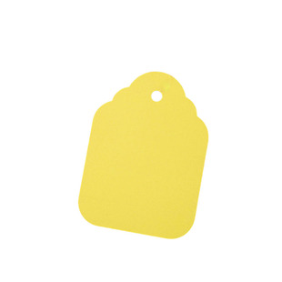 园艺标签彩色塑料吊签植物区分记号挂牌盆栽花卉育种防水系绳吊牌