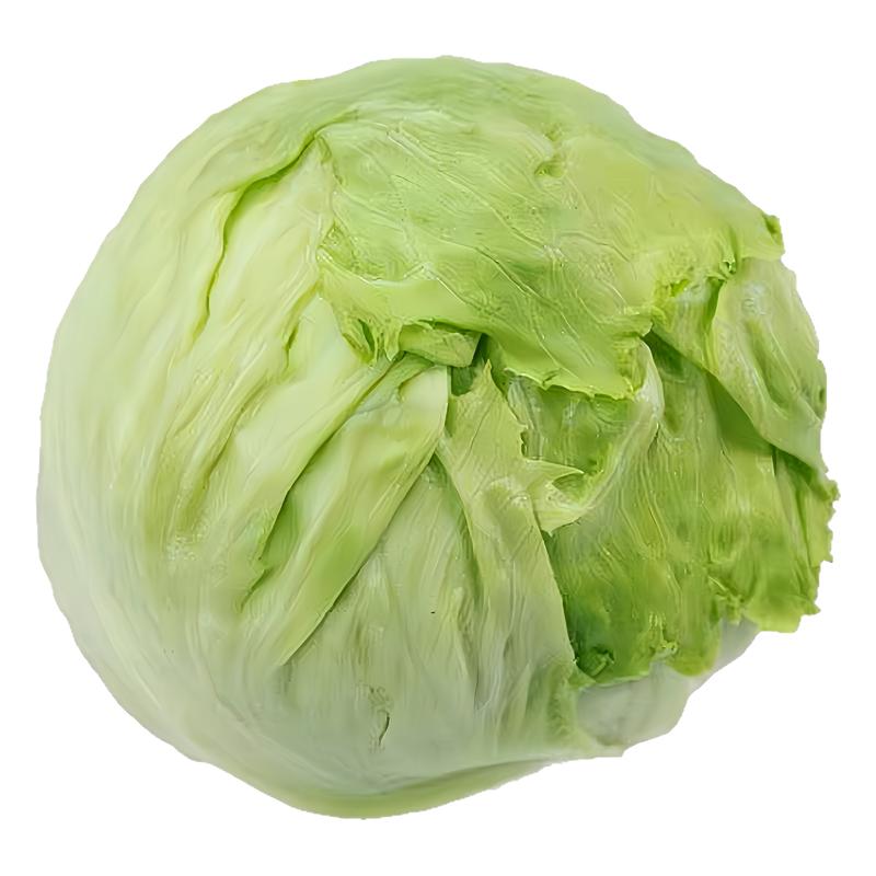球形结球生菜种子春夏秋四季播种
