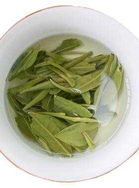 2026雅安雀舌绿茶清香耐泡50克起