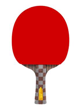 双鱼乒乓球拍小鱼格格五星拍