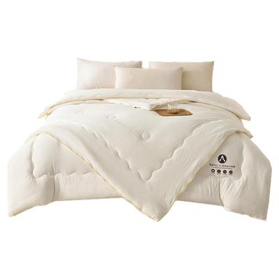 大豆被子母被二合一拉链款冬被四季春秋被芯单人双人空调夏被棉被