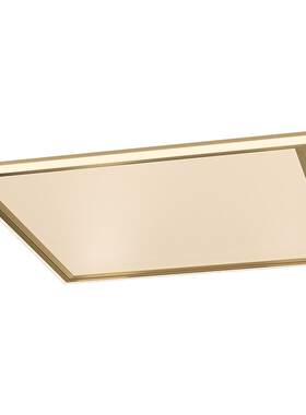 新特丽环绕侧发光轻奢吸顶灯