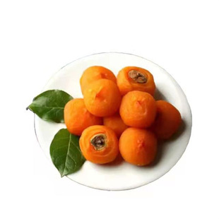 出口级冰柿正宗桂林平乐无霜半干燥爆浆柿饼非富平特吊柿子饼级