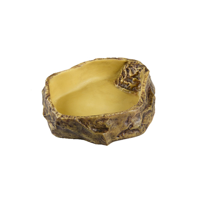 爬宠陆龟水盆蜥蜴乌龟守宫寄居蟹