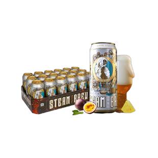 Wurenbacher瓦伦丁硬骨头赛斯IPA精酿啤酒500ml*18罐热带水果香味