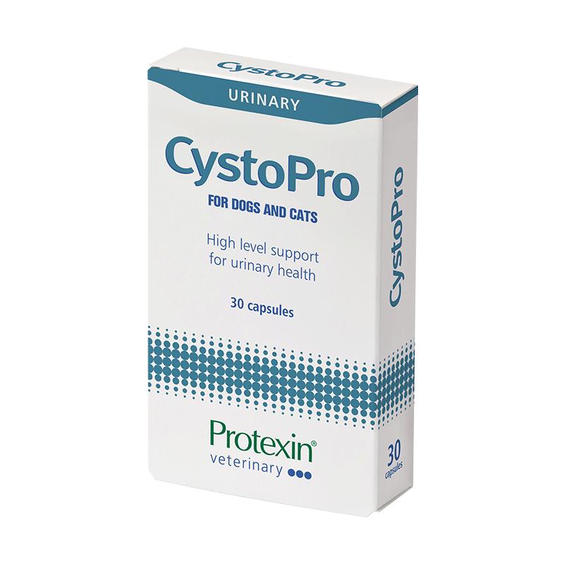 【自营】沙斯多保犬猫狗泌尿痛利尿通结石尿血感染膀胱炎【临期】