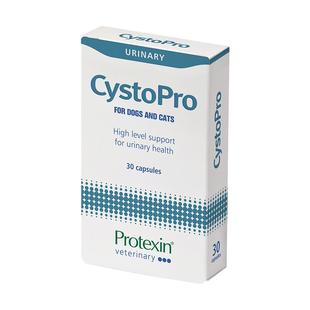 【自营】沙斯多保犬猫狗泌尿痛利尿通结石尿血尿路感染膀胱炎