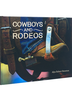 真书摆件简约现代样板间客厅