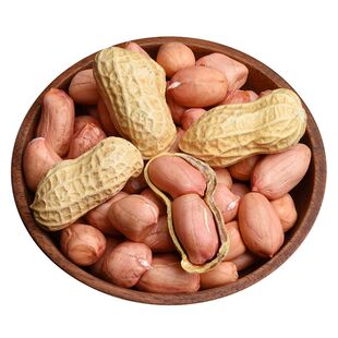 生花生2025年新货晒干带壳新鲜花生果原味白沙带皮高产薄壳种籽子