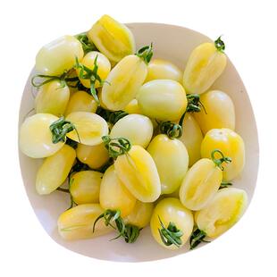 奶油圣女果新鲜白色小番茄山东白展堂生吃白千禧柿子现摘京东顺丰