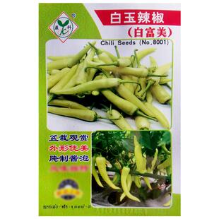 白玉辣椒种子阳台盆栽庭院农家作物播种植春夏秋季疏蔬菜泡椒种籽