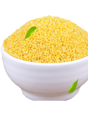 朝阳小米新米熬粥出米油