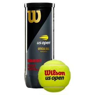 Wilson威尔胜官方美网法网比赛级多场地网球配件3只罐装网球