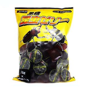 甲虫果冻独角仙锹甲昆虫果冻饲料花金龟兜虫毛象成虫黑糖食物食台