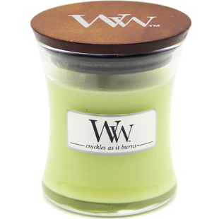 官方授权|美国WoodWick香薰蜡烛WW豆蜡卧室浪漫情调氛围白茶茉莉