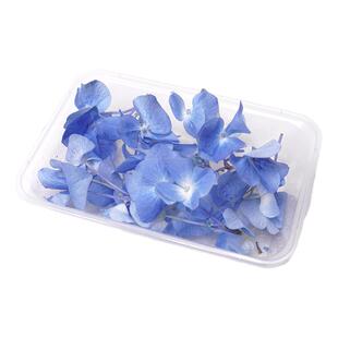 蓝色秀球甜品蛋糕装饰烘焙用草叶子新鲜西餐酒楼冷盘摆盘花草点缀