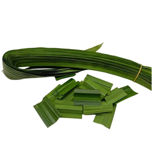 新鲜斑斓叶香兰叶班兰叶七叶兰千层糕椰汁西米糕海南鸡饭食用香料