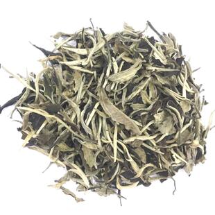 2025年春茶云南普洱景谷月光白茶春茶月光美人乔木散茶500克一斤