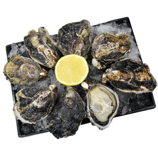新西兰马尔伯勒鲜活生蚝空运进口牡蛎M/L/XL号12只木盒装刺身级