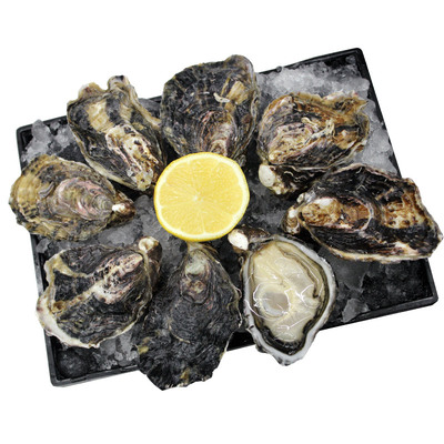 新西兰进口鲜活生蚝牡蛎