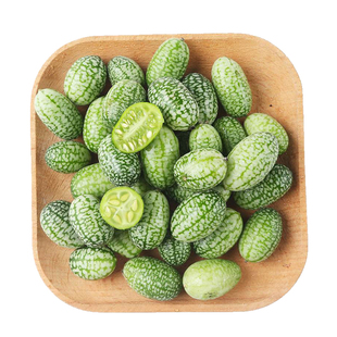 微型拇指西瓜种子迷你水果小西瓜佩普基诺黄瓜易种蔬菜四季播包邮