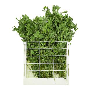 佩安友烘干紫花苜蓿草干草兔子草龙猫豚鼠新草粮食幼兔老兔草饲料