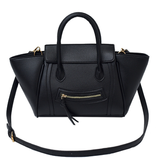 高级质感大容量包包女2025新款时尚百搭斜挎包外出上班手提翅膀包