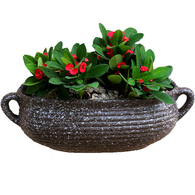 壁挂墙上花盆陶瓷欧式垂吊盆水培